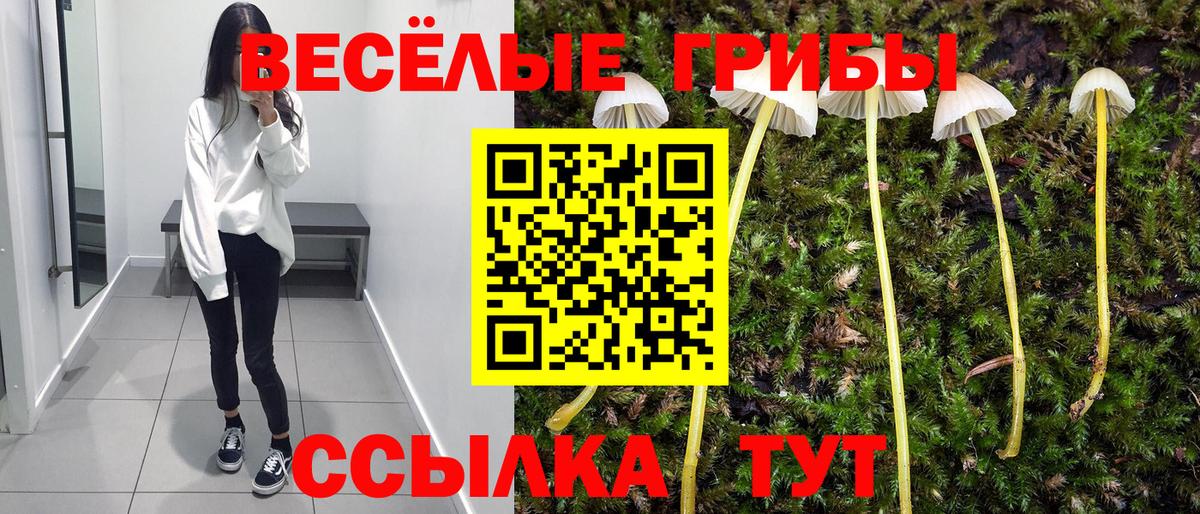 Галлюциногенные грибы мицелий  Вход с VPN  Елизово  Галлюциногенные грибы GOLDEN TEACHER 